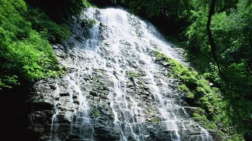 高端独特数字化